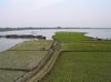 20050125_Amarapura_UBeinBridge